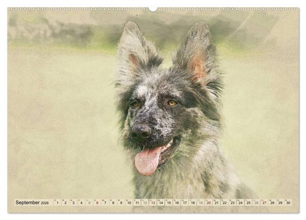 Produktbild: Altdeutsche H&uuml;tehunde 2026 (hochwertiger Premium Wandkalender 2026 DIN A2 quer), Kunstdruck in Hochglanz