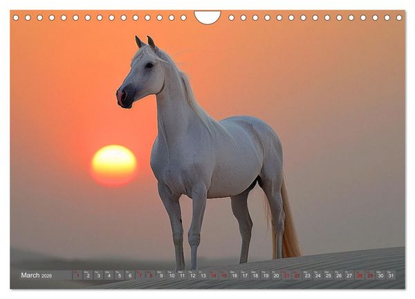 Produktbild: White Horses in Splendor (Wall Calendar 2026 DIN A4 landscape), CALVENDO 12 Month Wall Calendar