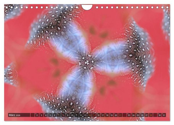 Produktbild: Natur im Kaleidoskop (Wandkalender 2026 DIN A4 quer), CALVENDO Monatskalender