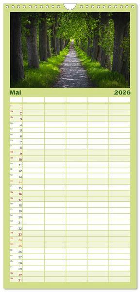 Produktbild: Familienplaner 2026 - Magischer Harzwald mit 5 Spalten (Wandkalender, 21 x 45 cm) CALVENDO