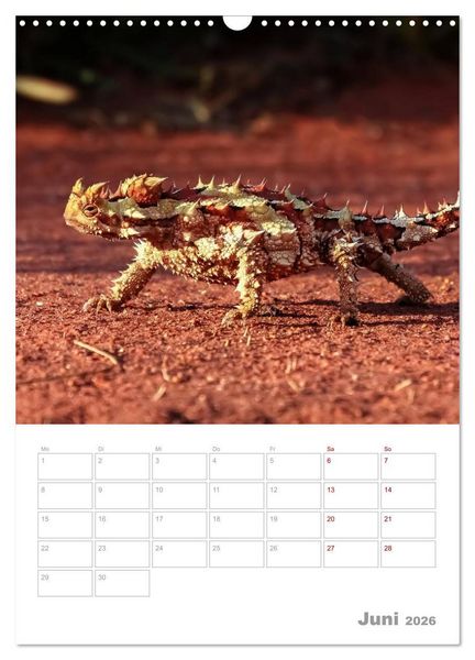Produktbild: g'day Australien 2026 (Wandkalender 2026 DIN A3 hoch), CALVENDO Monatskalender