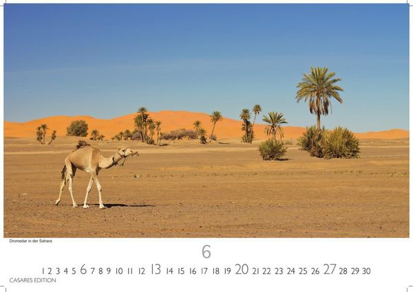 Produktbild: Tunesien Kalender 2027 &ndash; Wandkalender | Fotokalender Afrika 35x50 cm: Hochwertige Fotos, die die Kultur, Landschaften und Sehensw&uuml;rdigkeiten Tunesiens zeigen.