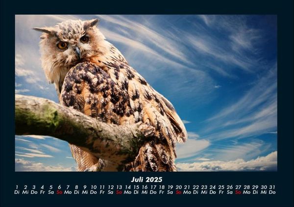 Produktbild: V&ouml;gel 2025 Fotokalender DIN A4