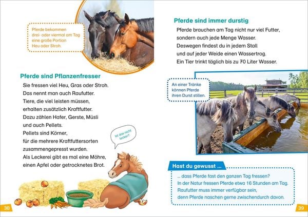 Produktbild: WAS IST WAS Erstes Lesen Band 7. Pferde und Ponys