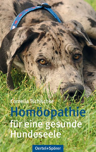 Produktbild: Homo&ouml;pathie