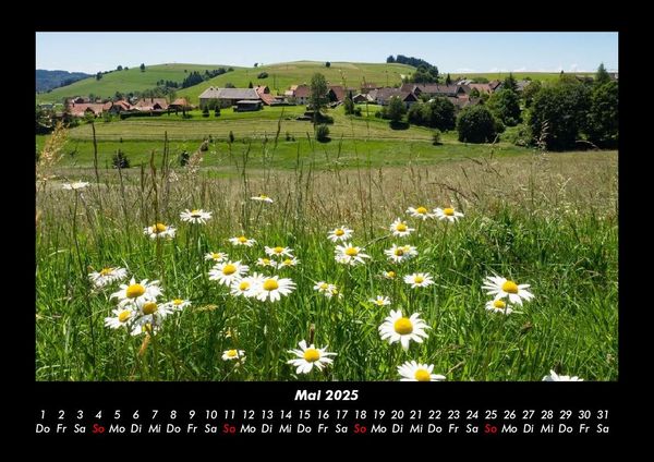 Produktbild: Blumentr&auml;ume 2025 Fotokalender DIN A3