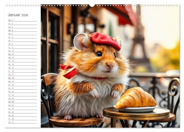 Produktbild: Nagertrip - Ein kleiner Hamster entdeckt die gro&szlig;e Welt (Wandkalender 2026 DIN A2 quer), CALVENDO Monatskalender