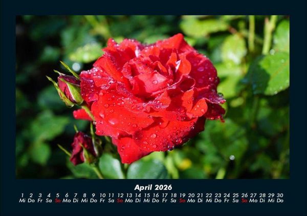 Produktbild: Natur 2026 Fotokalender DIN A4