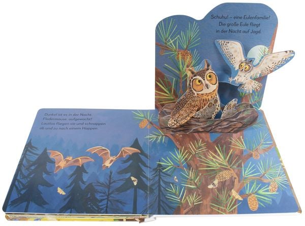 Produktbild: Mein Pop-up-Buch zum Staunen. Wer lebt im Wald?