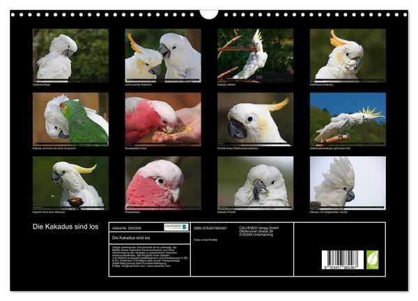 Produktbild: Die Kakadus sind los (Wandkalender 2026 DIN A3 quer), CALVENDO Monatskalender