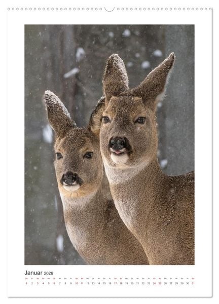 Produktbild: Tierisches Wien (hochwertiger Premium Wandkalender 2026 DIN A2 hoch), Kunstdruck in Hochglanz