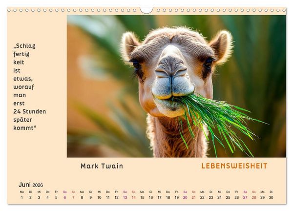 Produktbild: Pfiffig und weise (Wandkalender 2026 DIN A3 quer), CALVENDO Monatskalender