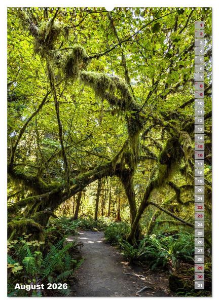 Produktbild: SEATTLE Imposante Stadt- und Naturimpressionen (hochwertiger Premium Wandkalender 2026 DIN A2 hoch), Kunstdruck in Hochglanz