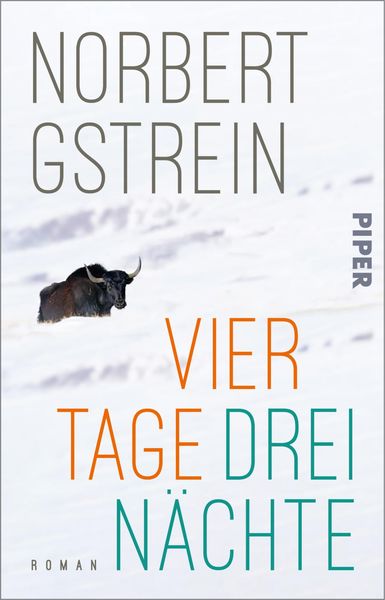 Vier Tage, drei Nächte, Taschenbuch von Norbert Gstrein, Piper Taschenbuch, 978-3-492-31971-3