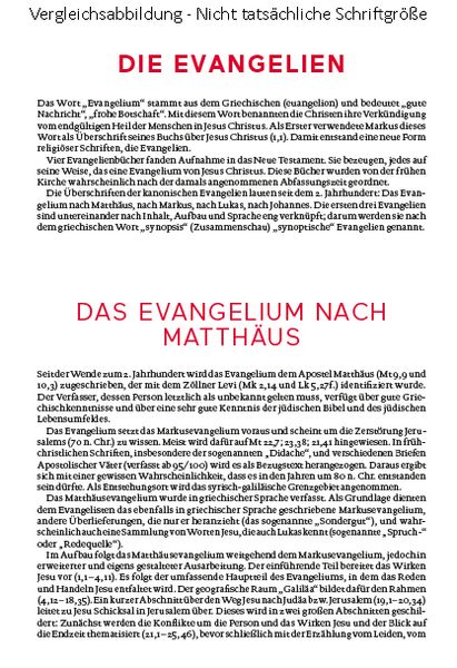 Produktbild: Die Bibel. Mit Sonderseiten für junge Menschen.