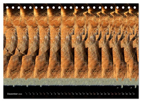 Produktbild: Magische Bilder - 3D Stereogramme (Tischkalender 2026 DIN A5 quer), CALVENDO Monatskalender