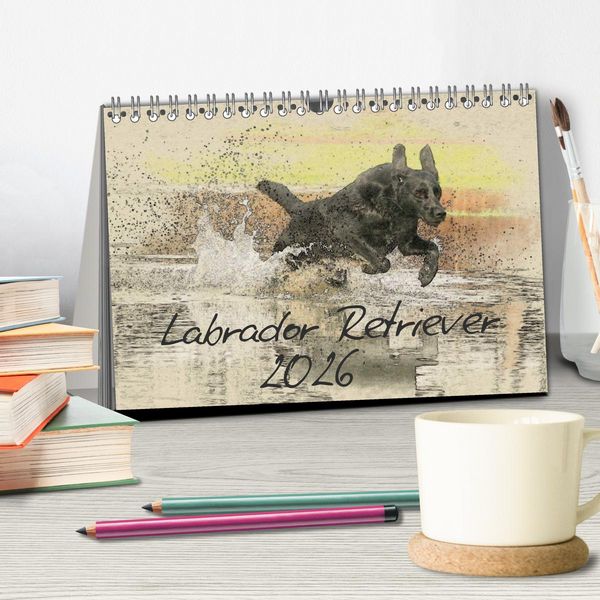 Produktbild: Labrador Retriever 2026 (Tischkalender 2026 DIN A5 quer), CALVENDO Monatskalender