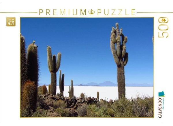 CALVENDO Puzzle Bolivien | 500 Teile Lege-Größe 48 × 36 cm Foto-Puzzle für Erwachsene
