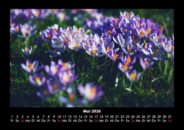 Produktbild: Blumentraum 2026 Fotokalender DIN A3