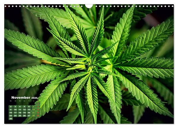 Produktbild: Die Welt in Gr&uuml;n (Wandkalender 2026 DIN A3 quer), CALVENDO Monatskalender