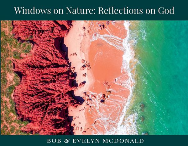 Produktbild: Windows on Nature