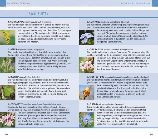Produktbild: Hom&ouml;opathie f&uuml;r Hunde