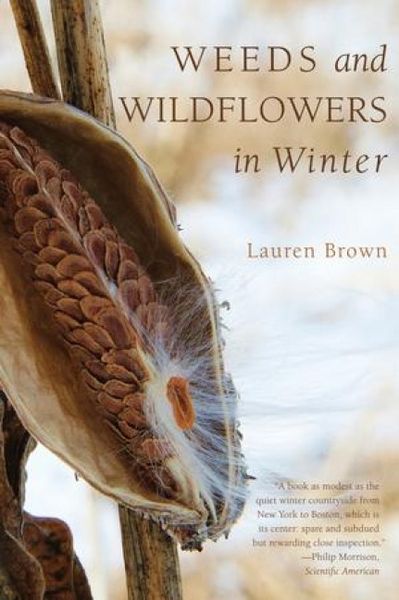 Produktbild: Weeds and Wildflowers in Winter