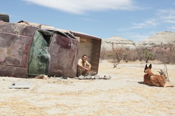 Produktbild: Desierto - T&ouml;dliche Hetzjagd