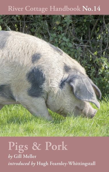 Produktbild: Pigs & Pork