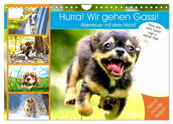 Produktbild: Hurra! Wir gehen Gassi! Abenteuer mit dem Hund! (Wandkalender 2026 DIN A4 quer), CALVENDO Monatskalender