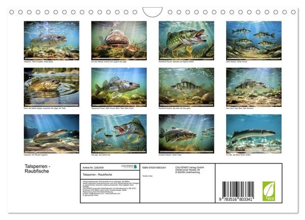 Produktbild: Talsperren - Raubfische (Wandkalender 2027 DIN A4 quer), CALVENDO Monatskalender