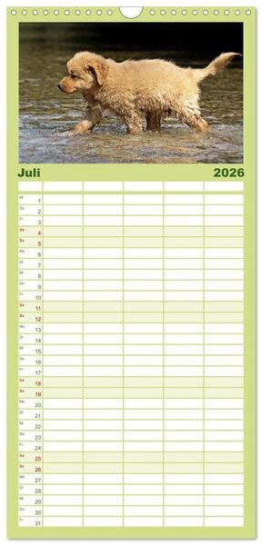 Produktbild: Familienplaner 2026 - Nova Scotia Duck Tolling Retriever mit 5 Spalten (Wandkalender, 21 x 45 cm) CALVENDO