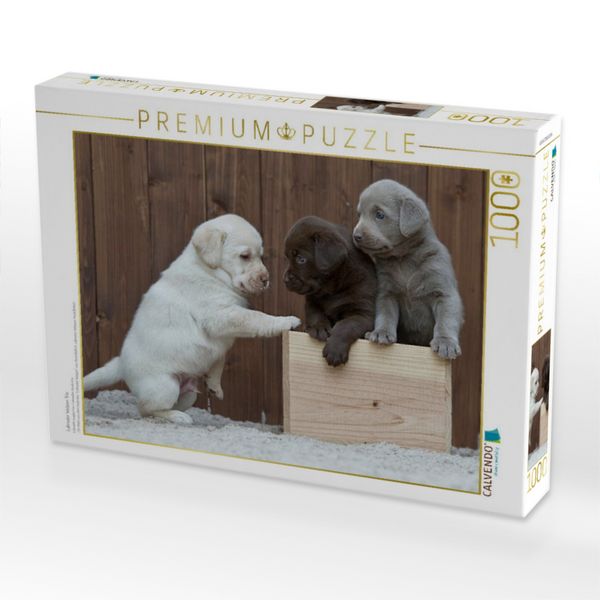 Produktbild: CALVENDO Puzzle Labrador Welpen Trio | 1000 Teile Lege-Gr&ouml;&szlig;e 64x48cm Foto-Puzzle f&uuml;r gl&uuml;ckliche Stunden