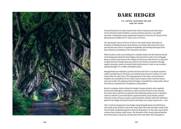 Produktbild: History Trees Pb