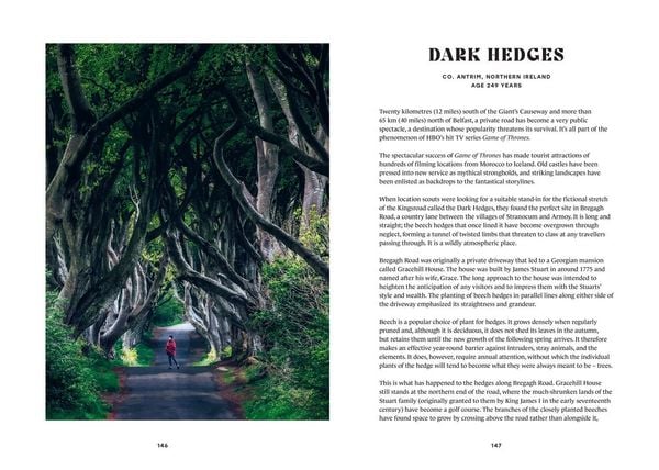 Produktbild: The History Trees
