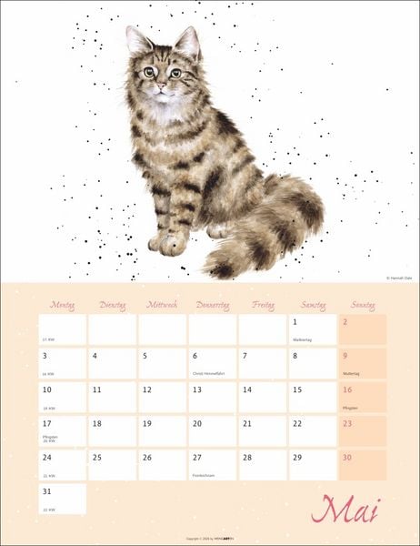 Produktbild: Country Life Kalender 2027
