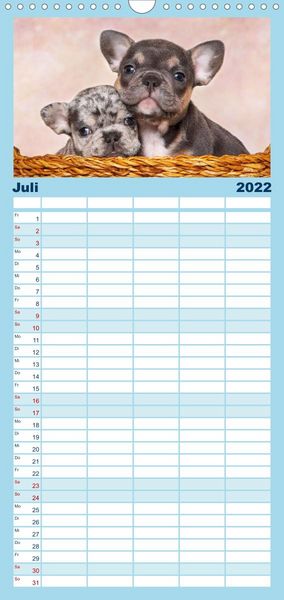 Produktbild: Bullys - Franz&ouml;sische Bulldoggen 2022 - Familienplaner hoch (Wandkalender 2022 , 21 cm x 45 cm, hoch)
