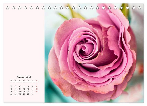 Produktbild: Rosen. Charmante und edle K&ouml;niginnen (Tischkalender 2026 DIN A5 quer), CALVENDO Monatskalender