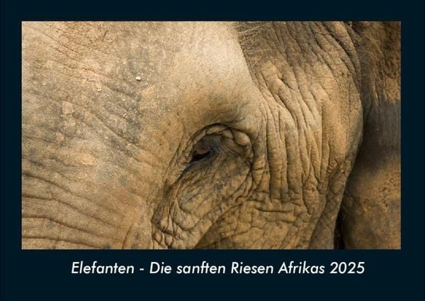 Produktbild: Elefanten - Die sanften Riesen Afrikas 2025 Fotokalender DIN A4