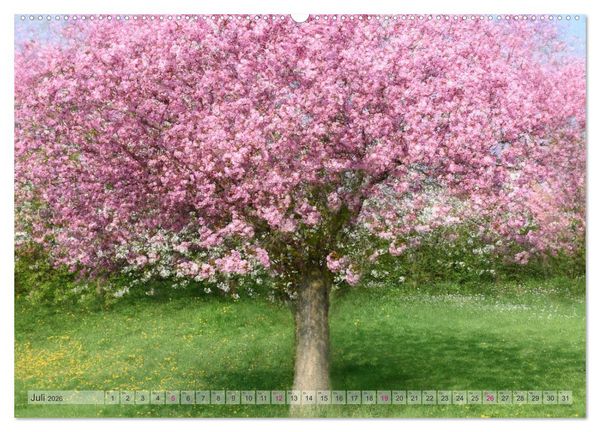Produktbild: Vielfalt der B&auml;ume - variety of trees (hochwertiger Premium Wandkalender 2026 DIN A2 quer), Kunstdruck in Hochglanz