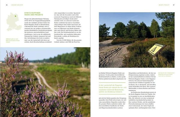 Produktbild: Unsere W&auml;lder