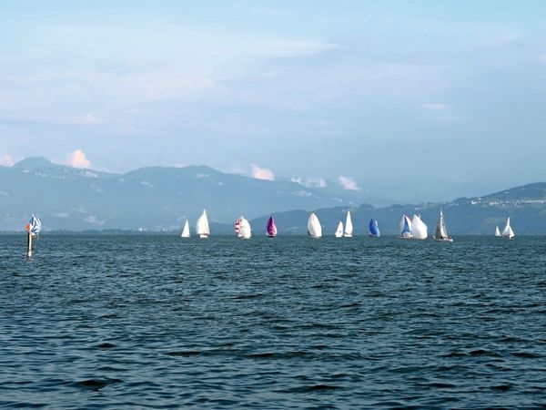 Produktbild: CALVENDO Puzzle Obersee Pokal Regatta 1000 Teile Puzzle quer | 1000 Teile Lege-Gr&ouml;&szlig;e 64 &times; 48 cm Foto-Puzzle f&uuml;r gl&uuml;ckliche Stunden