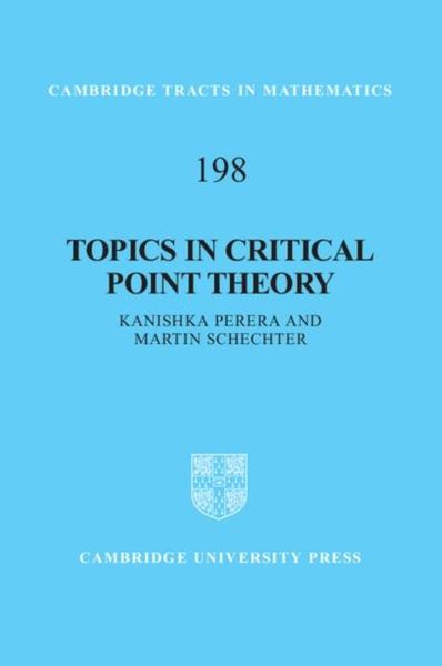 Produktbild: Topics in Critical Point Theory