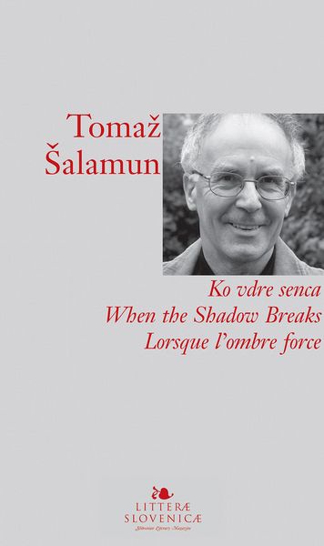 Produktbild: Ko vdre senca / When the Shadow Breaks / Lorsque l'ombre force
