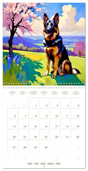 Produktbild: German Shepherd. The majestic character of a noble breed (Wall Calendar 2026 12 &times; 12 Inch) CALVENDO 12 Month Wall Calendar