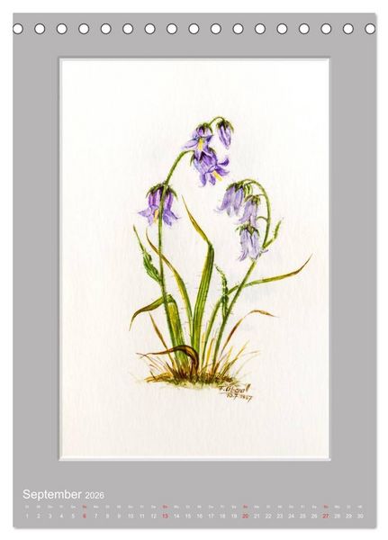 Produktbild: Alpenblumen Aquarelle aus Tirol (Tischkalender 2026 DIN A5 hoch), CALVENDO Monatskalender
