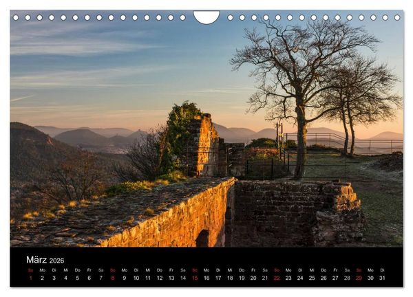 Produktbild: Mystischer Pf&auml;lzer Wald (Wandkalender 2026 DIN A4 quer), CALVENDO Monatskalender