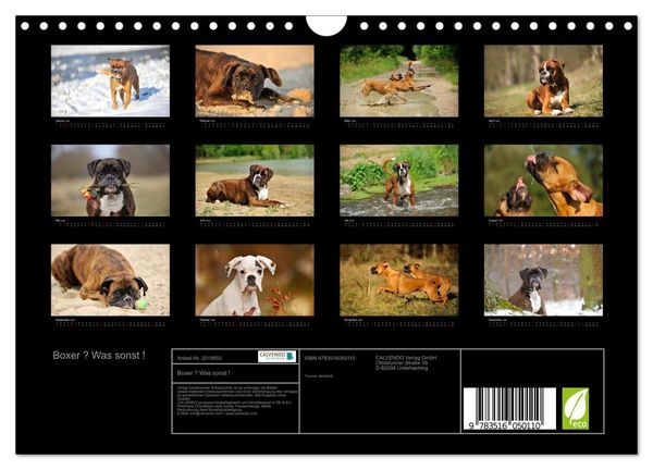 Produktbild: Boxer ? Was sonst ! (Wandkalender 2026 DIN A4 quer), CALVENDO Monatskalender