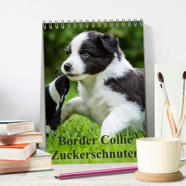 Produktbild: Border Collie Zuckerschnuten (Tischkalender 2026 DIN A5 hoch), CALVENDO Monatskalender