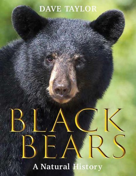 Produktbild: Black Bears
